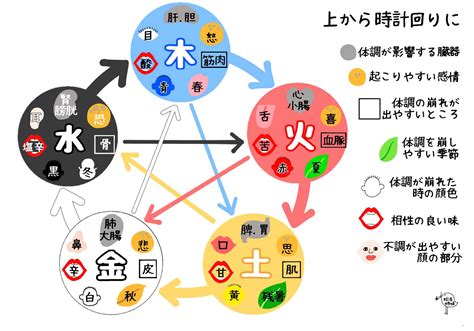 五行 木 性質|五行の木の性質を読み解く！キーワードは成長・発展・柔軟性